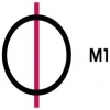 M1 TV